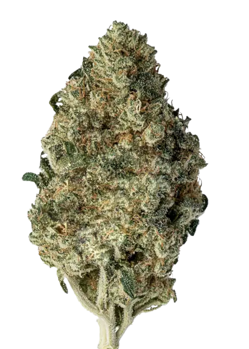 Cannatonic