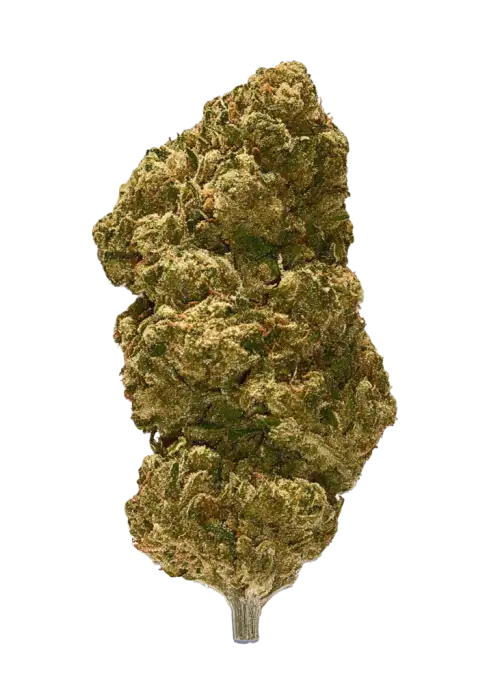 Zombie OG