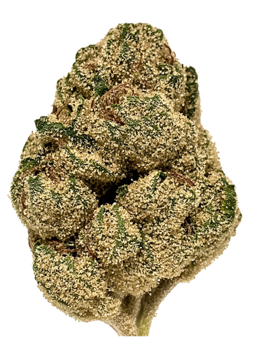 Mint Chocolate Chip