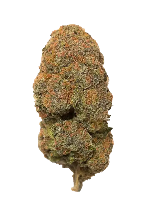 Black Cherry Pie