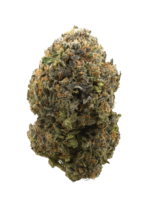 Rocket Fuel