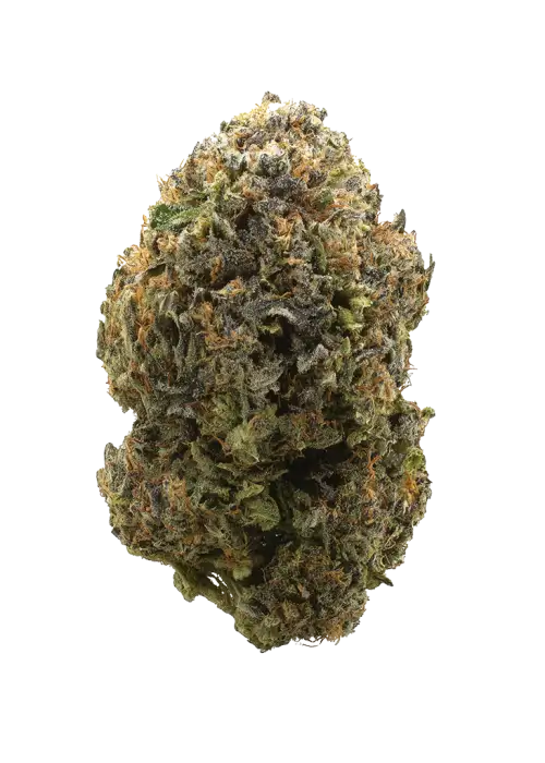 Rocket Fuel