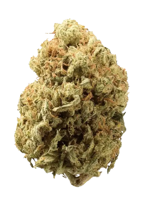 Blackberry Moonrocks®