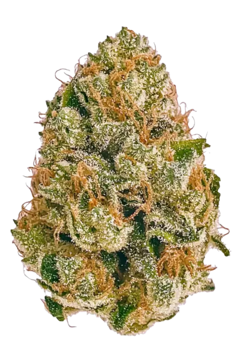 AK-47