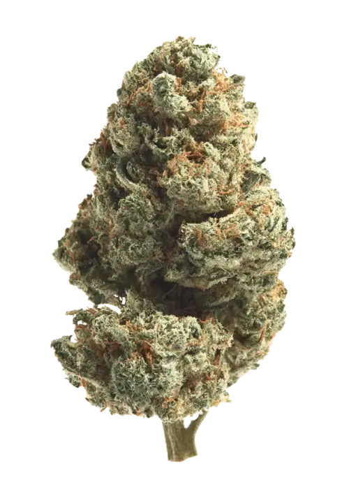Kali Mist