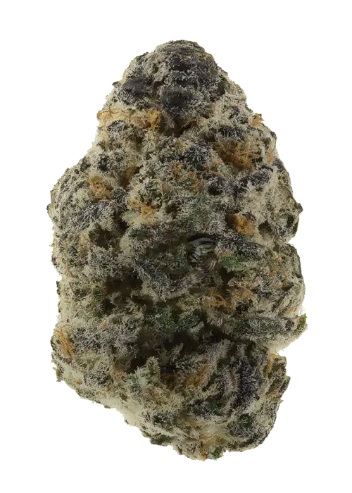 Durban Biscotti