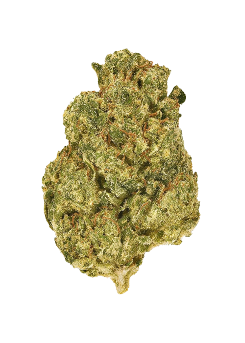 Yama