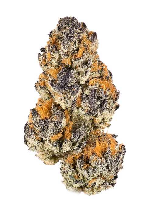 Raspberry Cough