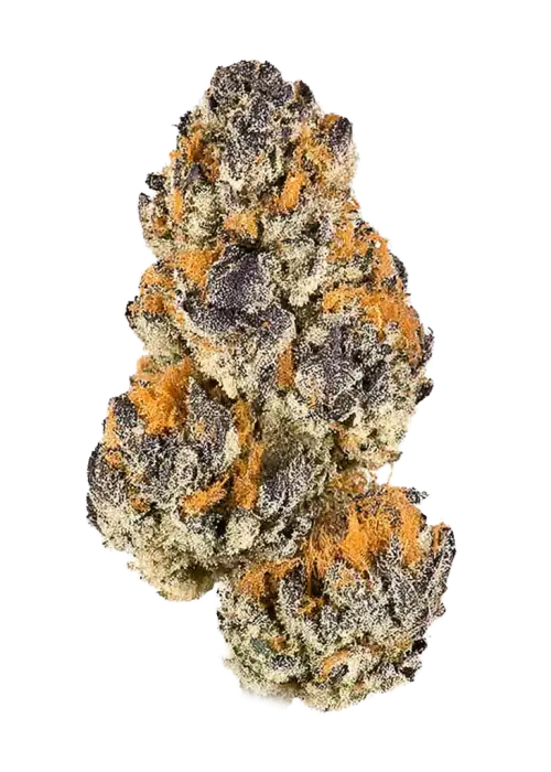 Raspberry Cough