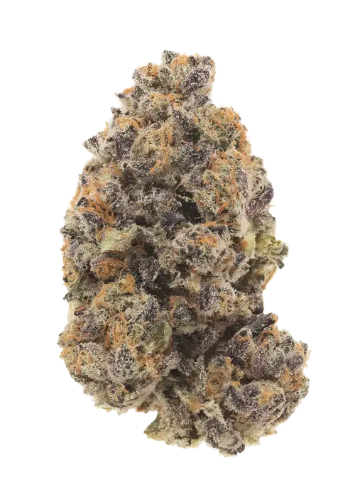 Rainbow Flame
