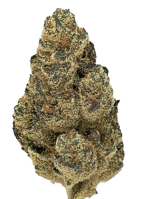 Blueberry Pie