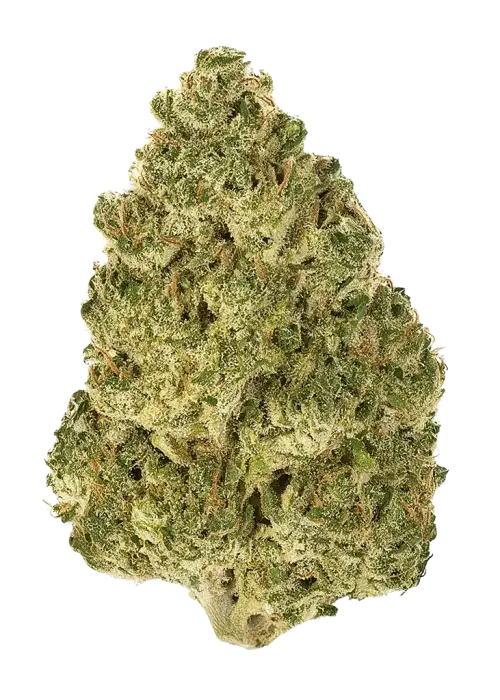 Moulin Rouge OG