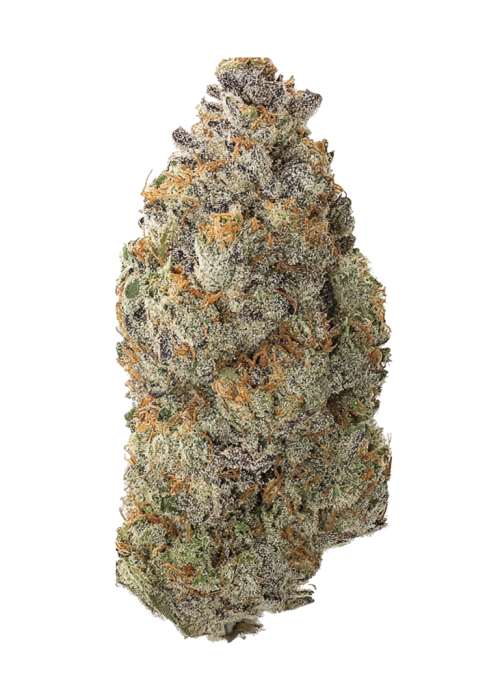 Citron Sour