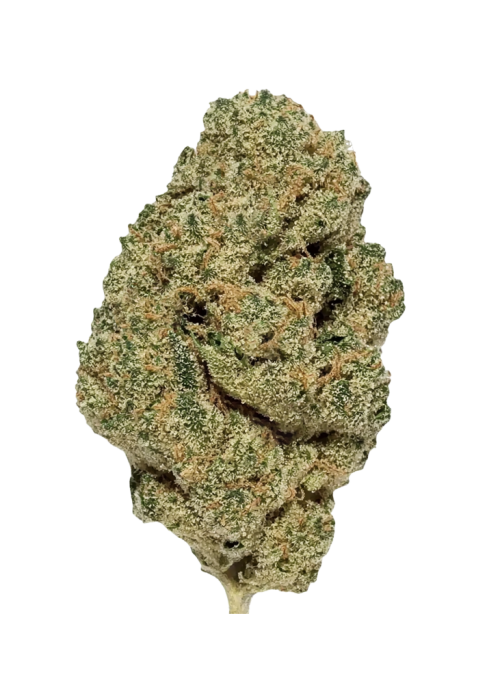 Blue Guava