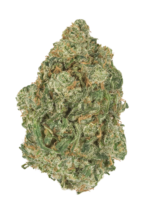 Miracle Grow