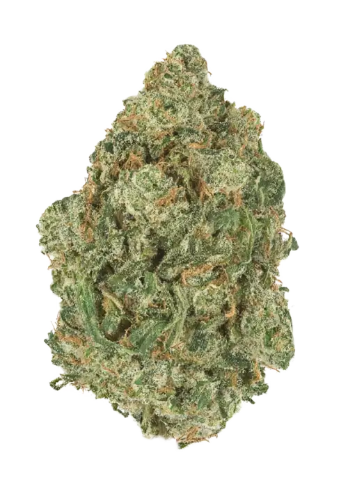 Miracle Grow