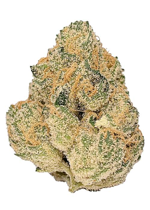 Tropical Z