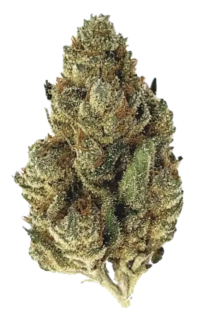 Cookies and Cream