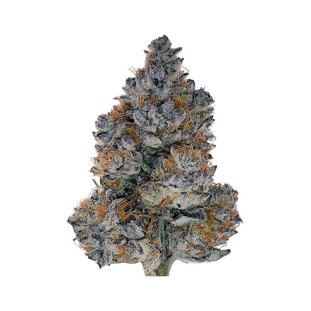GANJA COME AROUND/RMX.COLLIBUDZ 激レア入手超困難 3774-miracle-candy.png