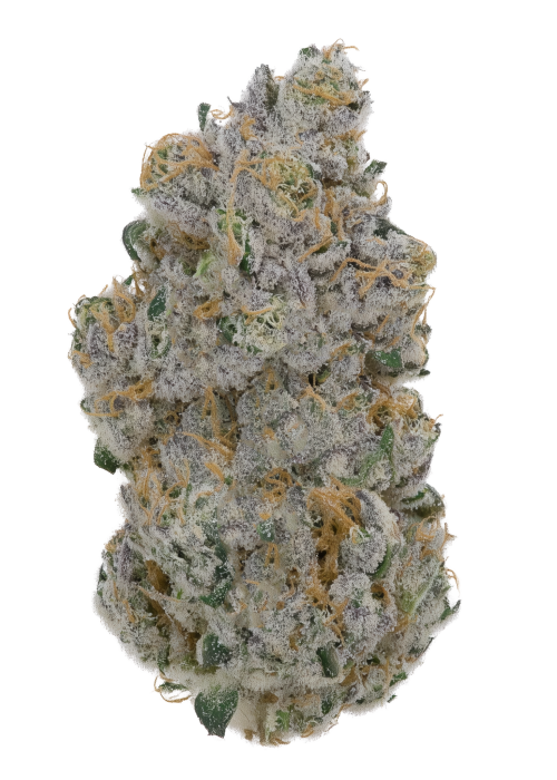 Dumb Gas