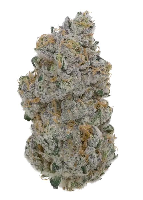 Dumb Gas