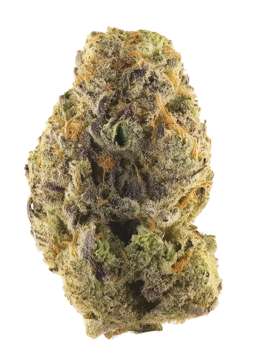 Black Scotti