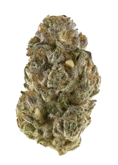 Vapor Fuel