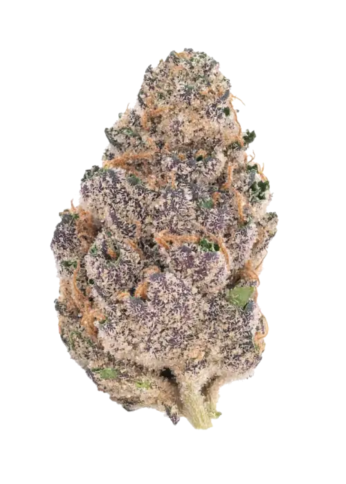 Strawberry Gorilla Auto