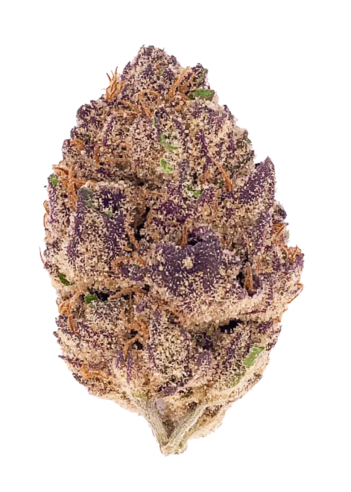 Purple Lemonade Auto