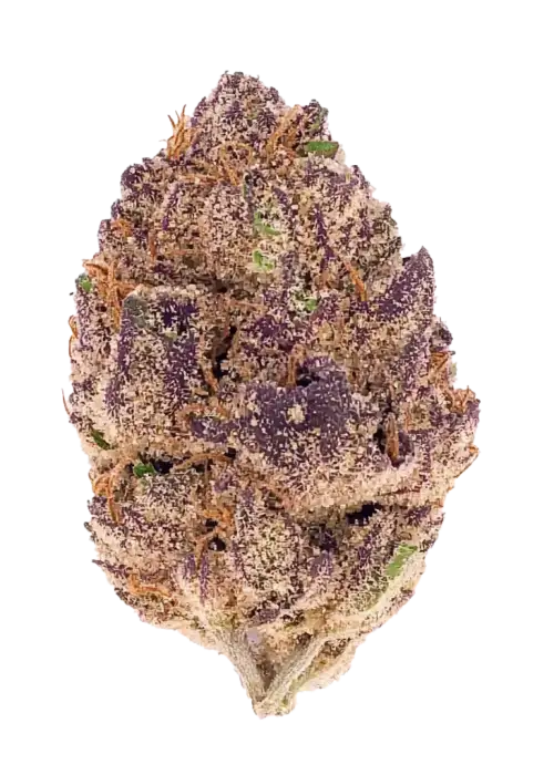 Purple Lemonade Auto