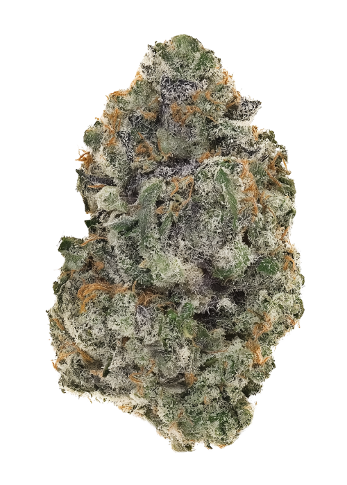 Gorilla Candy