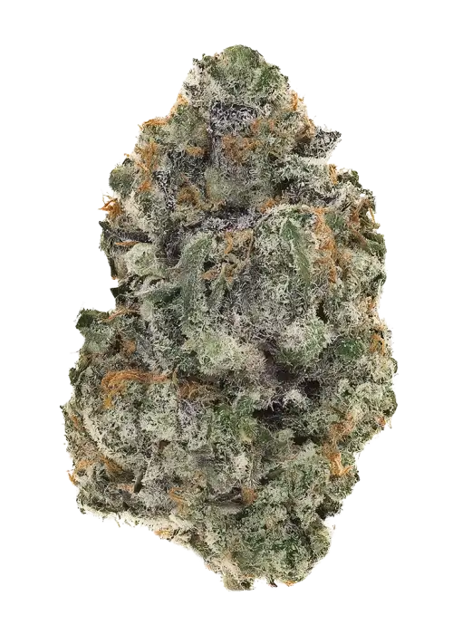 Gorilla Candy