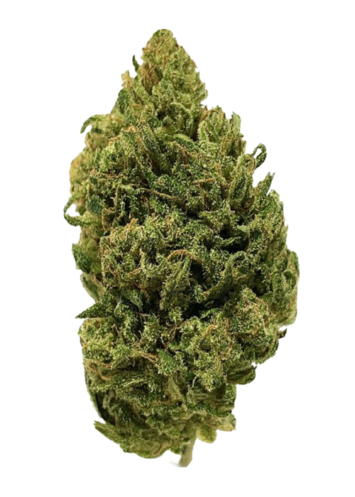 Dogwalker OG