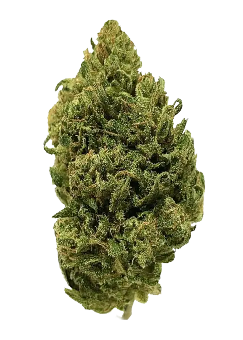Dogwalker OG