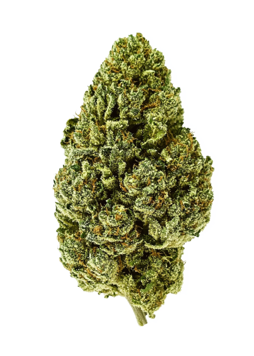 Lemon Drip