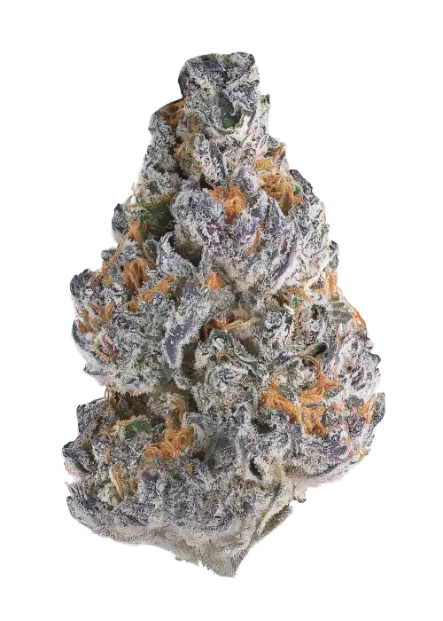 Grape Ambrosia
