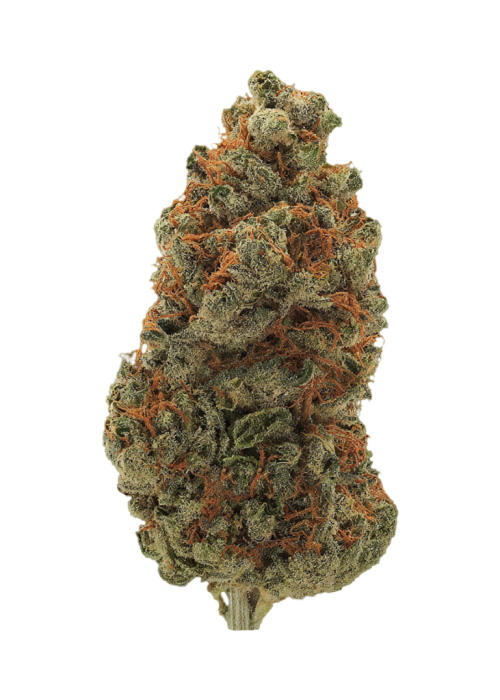 Blueberry Jam