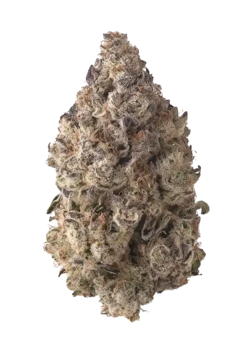 Tropicanna Poison