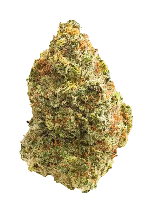 Blackwater