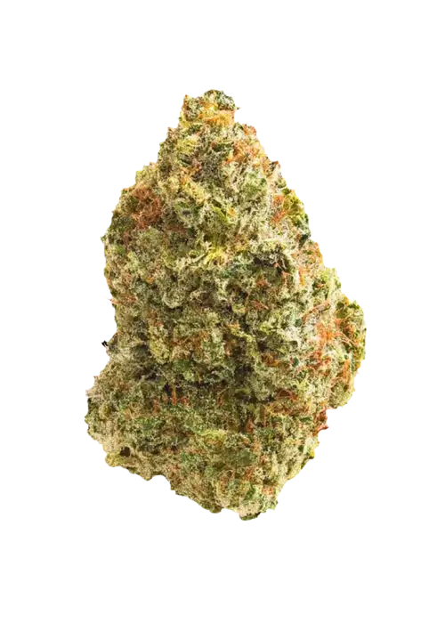 Blackwater