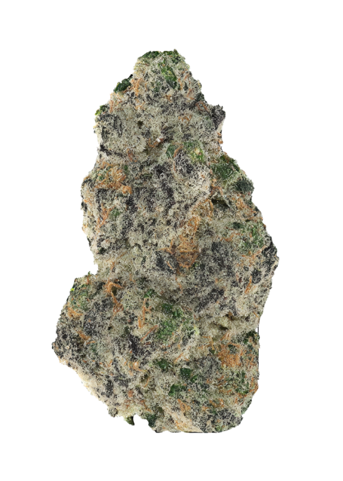 Skilatti