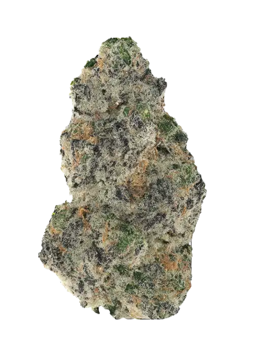Skilatti