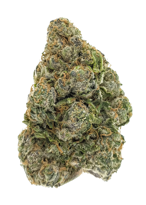 Georgia Pine