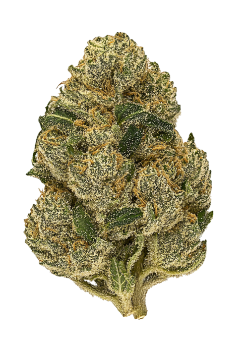 Strawberry Truffle