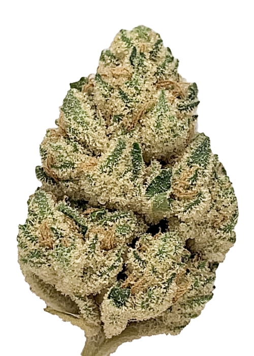White Guava