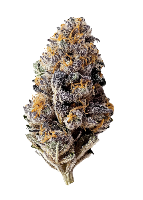 Blackberry Auto