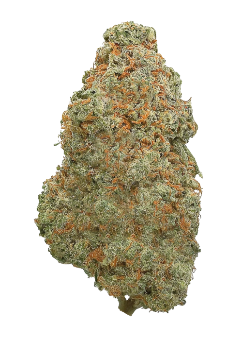 Grapefruitz