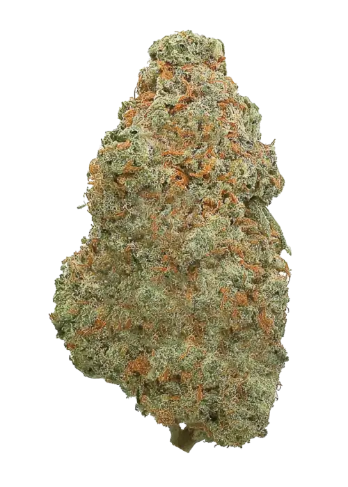 Grapefruitz