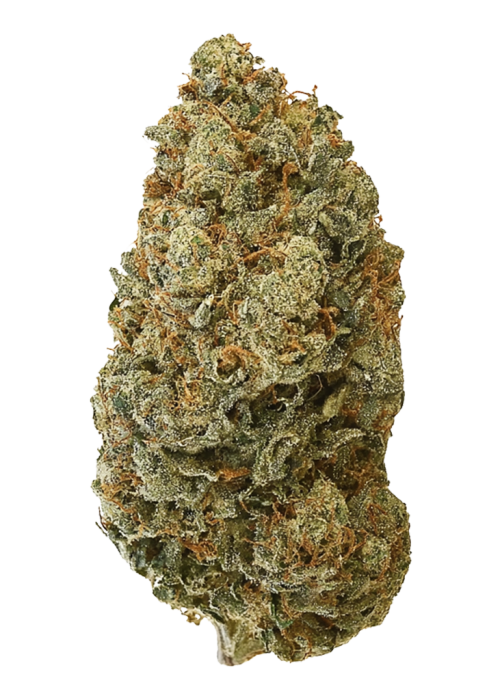Devil's Lettuce