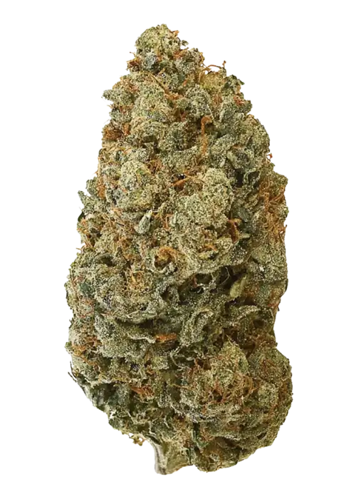 Devil's Lettuce